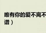 唯有你的爱不离不弃歌谱（你的爱不离不弃歌谱）