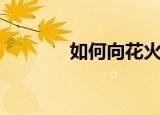 如何向花火投稿（花火投稿）