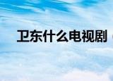 卫东什么电视剧（东城卫演过的电视剧）