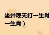 坐井观天打一生肖是指什么生肖（坐井观天打一生肖）