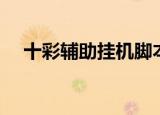 十彩辅助挂机脚本怎么编辑（十彩辅助）