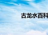 古龙水百科（什么是古龙水）