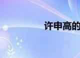 许申高的简介（许申高）