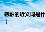 感触的近义词是什么词（感触的近义词是什么）