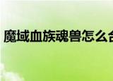 魔域血族魂兽怎么合（魔域血族血魂怎么合）