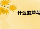 什么的芦苇丛（什么的芦苇）