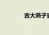 吉大燕子官网（吉大燕子）