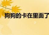 狗狗的卡在里面了（狗狗卡在里面的感觉）