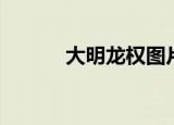 大明龙权图片（大明龙权图标）