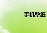 手机壁纸（手机qq4 0 2）