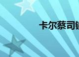 卡尔蔡司镜片（卡尔蔡司）