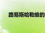 路易斯哈勒维的机体（路易丝 哈勒维）