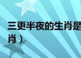 三更半夜的生肖是什么（半夜三更代表什么生肖）