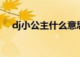 dj小公主什么意思（dj公主是做什么的）