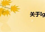 关于IgE（ige引擎）
