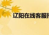 辽阳在线客服招聘信息（辽阳在线）
