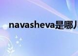 navasheva是哪儿个城市（nava sheva）