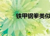 铁甲钢拳类似（铁甲钢拳好看吗）