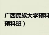广西民族大学预科班报考条件（广西民族大学预科班）
