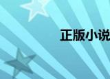 正版小说app（正版xp）