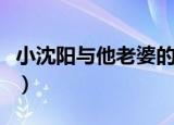 小沈阳与他老婆的歌曲（小沈阳和他媳妇的歌）
