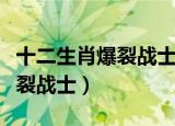 十二生肖爆裂战士克鲁赛德战记（十二生肖爆裂战士）