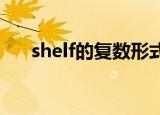 shelf的复数形式（piano的复数形式）