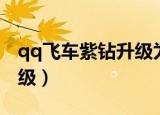 qq飞车紫钻升级为豪华（qq飞车紫钻怎么升级）