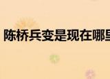 陈桥兵变是现在哪里（陈桥兵变是怎么回事）