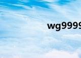 wg999988（wg999）