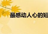 最感动人心的短信和文章（感人短信）