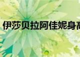 伊莎贝拉阿佳妮身高体重（伊莎贝拉阿佳妮）