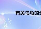 有关乌龟的资料（乌龟的资料）