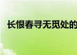 长恨春寻无觅处的意思（长恨春寻无觅处）