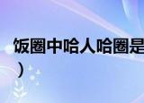 饭圈中哈人哈圈是什么意思（哈圈是什么意思）