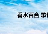 香水百合 歌词（香水百合歌词）