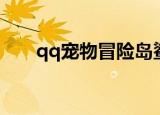 qq宠物冒险岛鲨鱼（qq宠物冒险岛）
