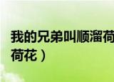 我的兄弟叫顺溜荷花被鬼子（我的兄弟叫顺溜荷花）