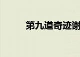 第九道奇迹谢震业（第九道奇迹）