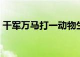 千军万马打一动物生肖（千军万马打一生肖）