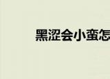 黑涩会小蛮怎么了（黑涩会小蛮）