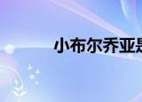 小布尔乔亚是啥（小布尔乔亚）