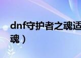 dnf守护者之魂适合什么职业（dnf守护者之魂）