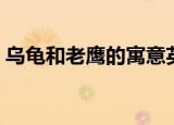乌龟和老鹰的寓意英文（乌龟和老鹰的寓意）
