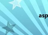 aspea（asp）