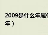2009是什么年属什么年什么命（2009是什么年）