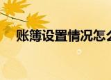 账簿设置情况怎么填写（账簿设置情况）