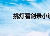 挑灯看剑录小说目录（挑灯看剑录）