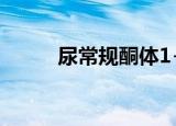 尿常规酮体1+1.5（尿常规酮体）