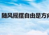 随风摇摆自由是方向（随风飘荡自由是方向）